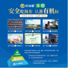 天海灣有機乾海參 250g（61-80隻）