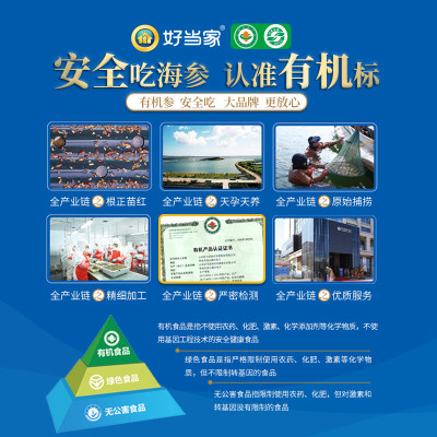 天海灣有機乾海參 250g（61-80隻）