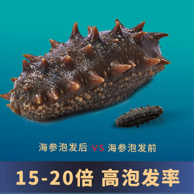 天海灣有機乾海參 250g（61-80隻）