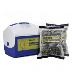 藍血貴族高壓冷凍海參 500g（11-15頭）