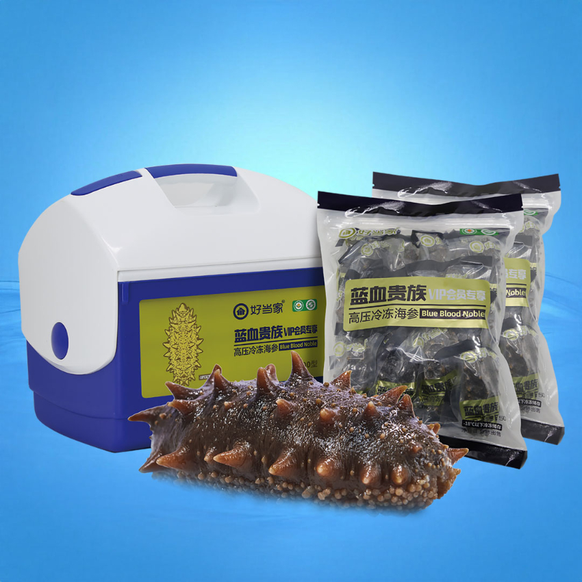 藍血貴族高壓冷凍海參 500g（21-25頭）