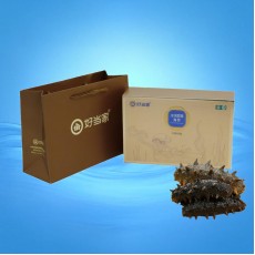 冷凍即食海參 500g 金色禮盒裝（11-15隻）