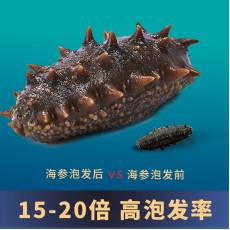 天海灣有機乾海參 250g(61-80隻)